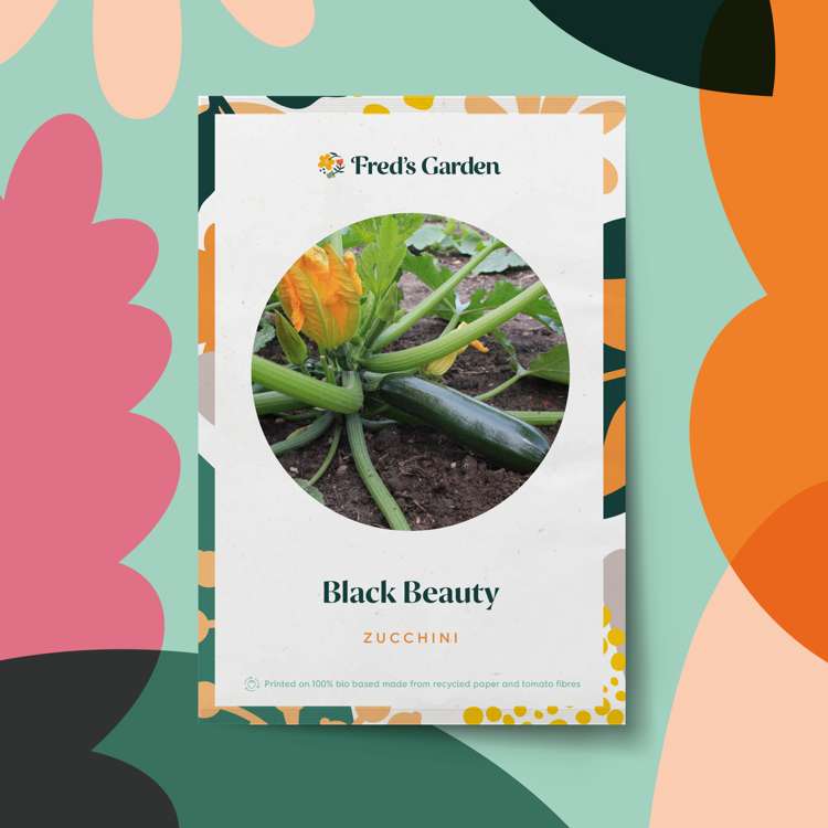 Squash 'Black Beauty' (frö)